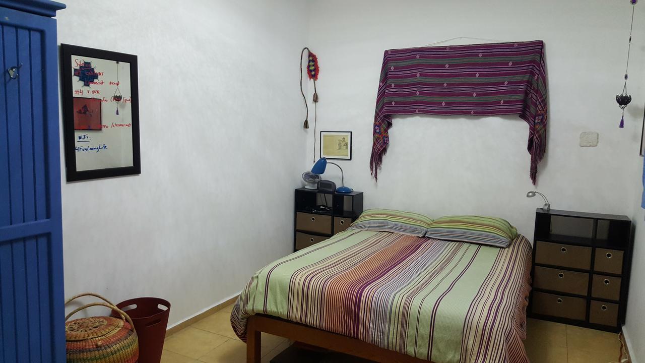Cozy & Full Apt In Coyoacan Great For Long Stays México DF Exterior foto